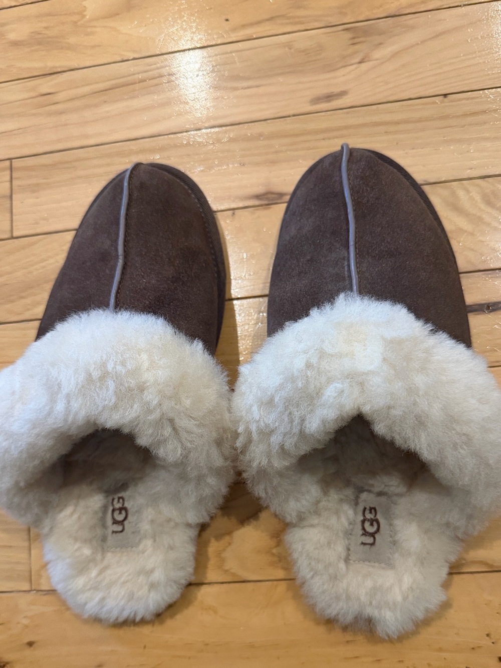 UGG Scuffette II Sheepskin Slippers in Espresso - Like New!